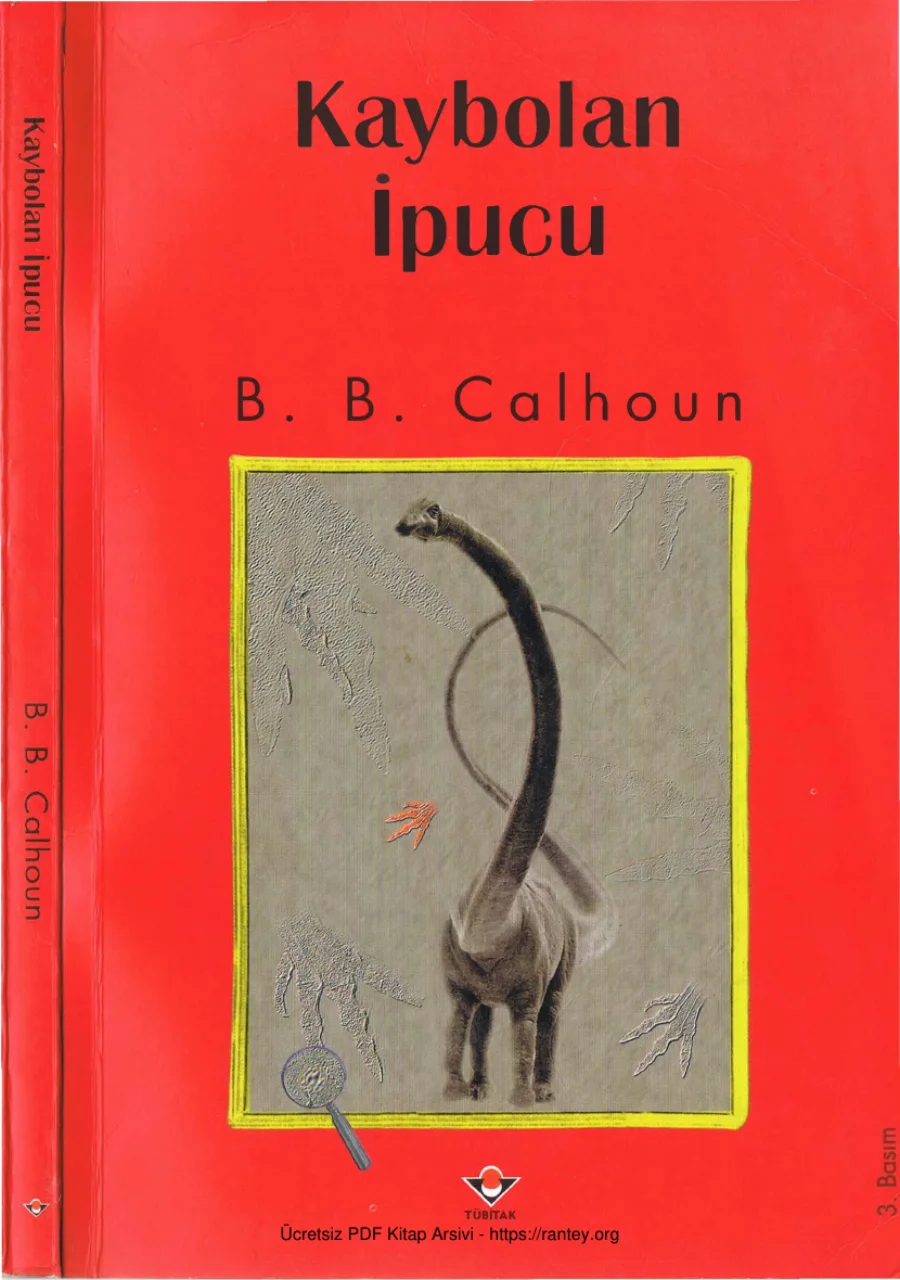 Kaybolan İpucu kapak görseli