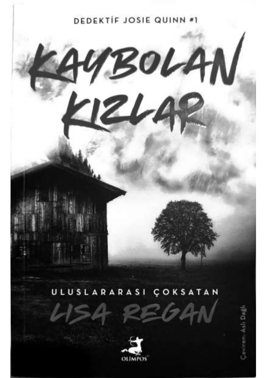 Kaybolan Kızlar kapak görseli