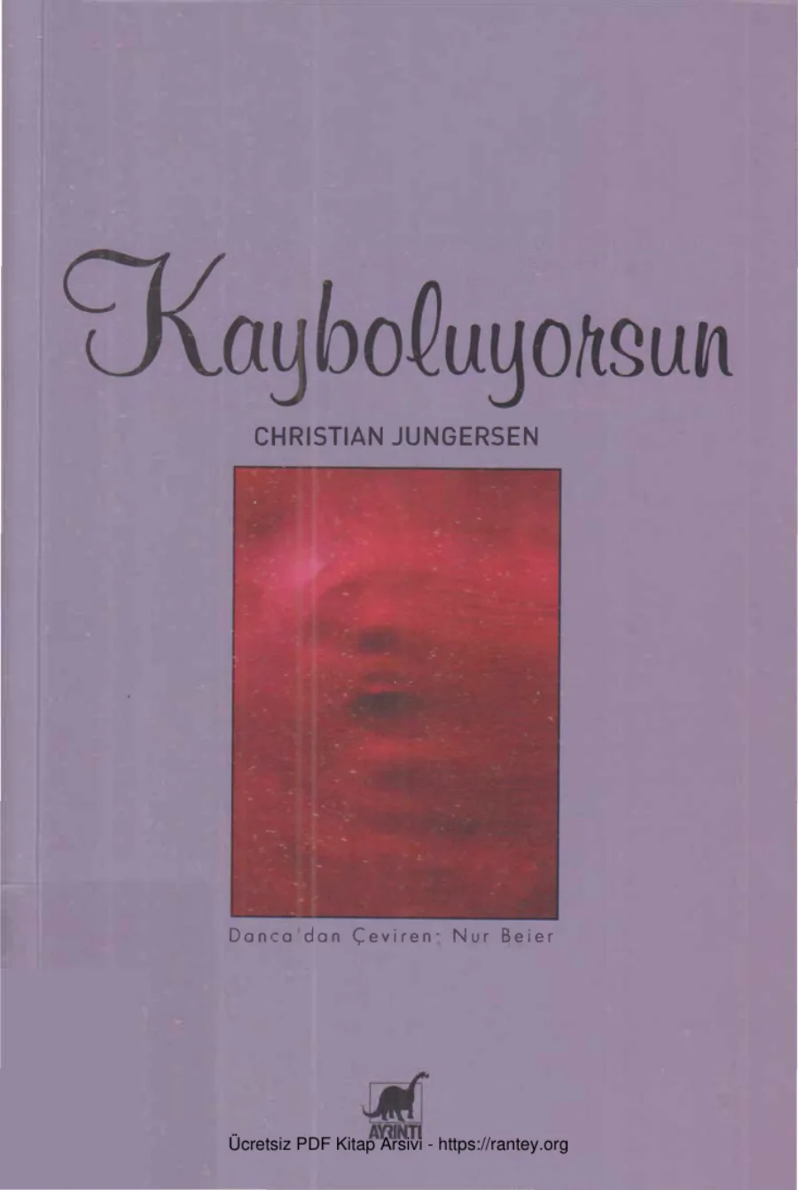 Kayboluyorsun kapak görseli