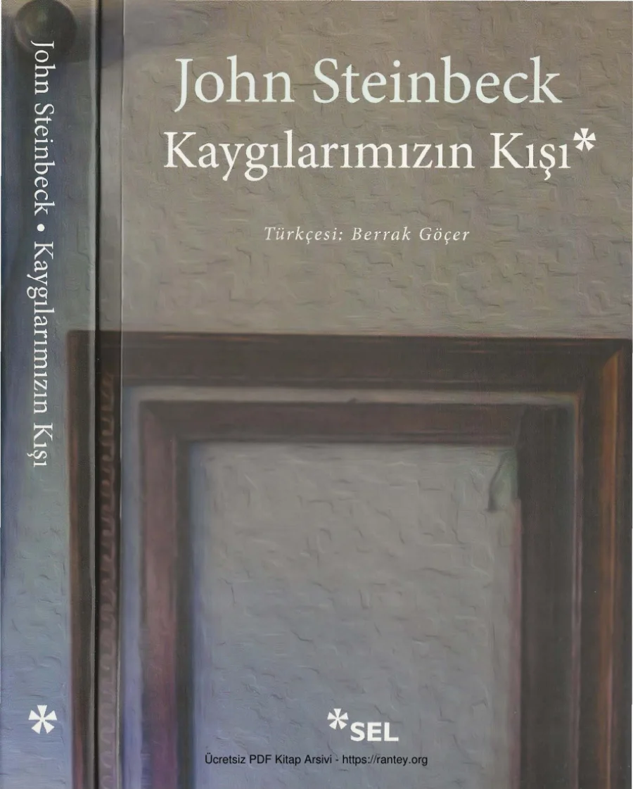 Kaygılarımızın Kışı kapak görseli
