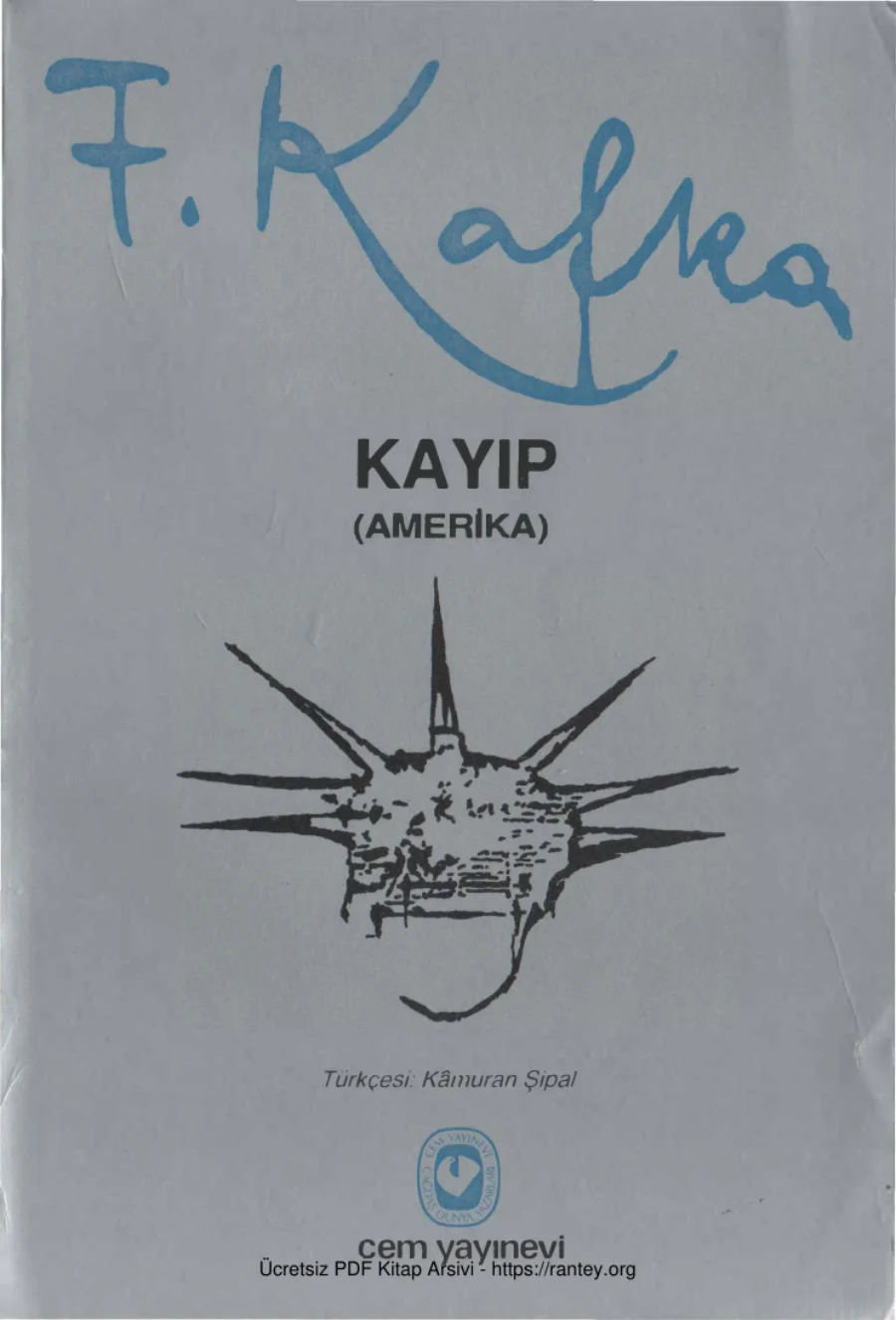 Kayıp Amerika kapak görseli