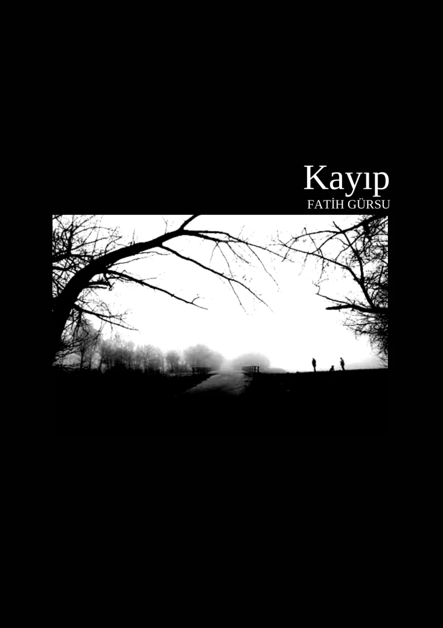 Kayip kapak görseli