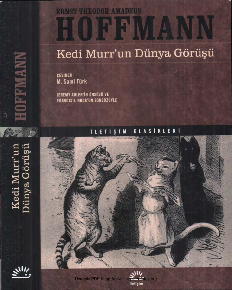 Kedi Murrun Dünya Görüşü kapak görseli