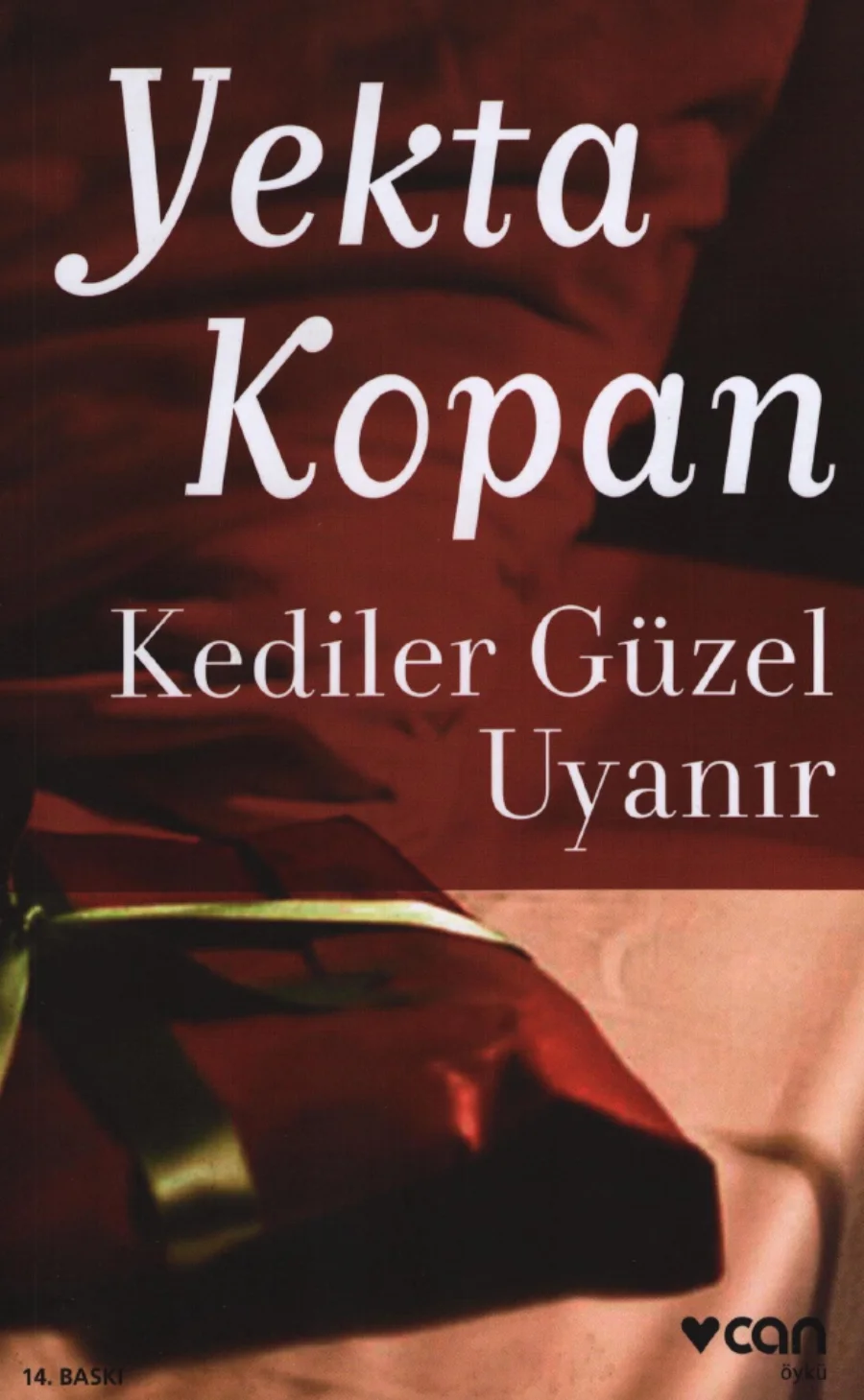 Kediler Güzel Uyanır kitap kapağı