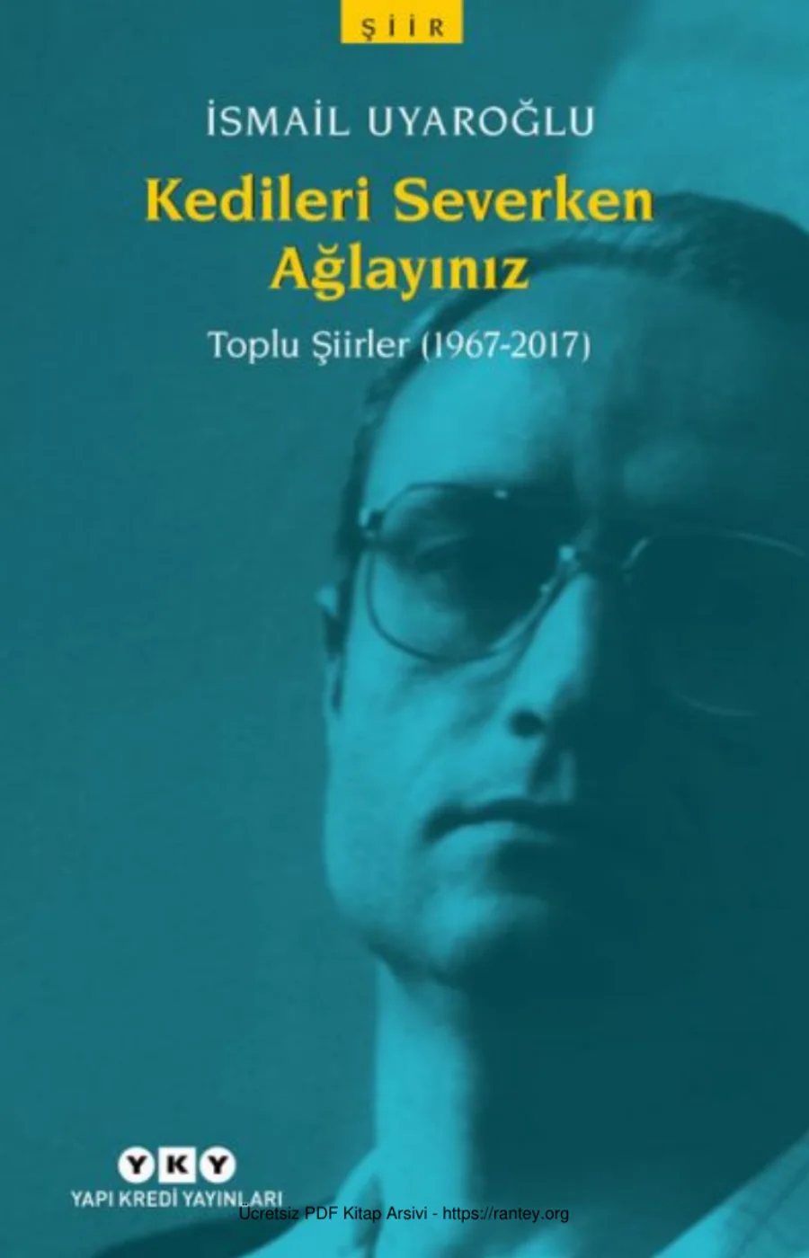 Kedileri Severken Ağlayınız kapak görseli