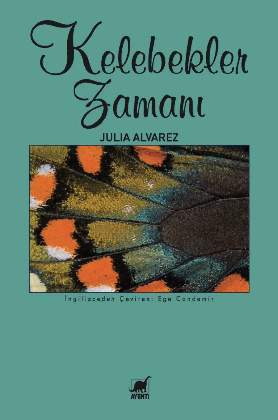 Kelebekler Zamanı kapak görseli