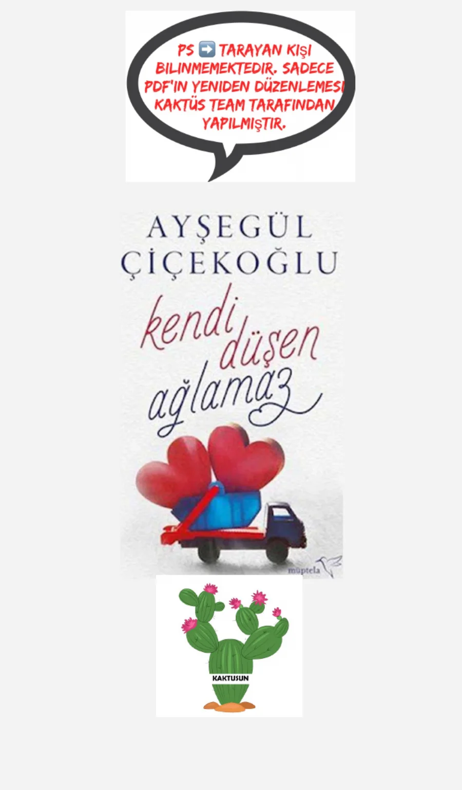 Kendi Düşen Ağlamaz kapak görseli