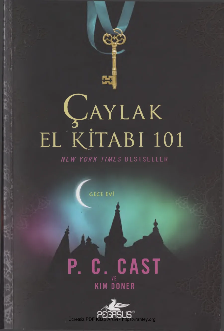 Kim Doner Gece Evi Caylak El Kitabı 101 kapak görseli