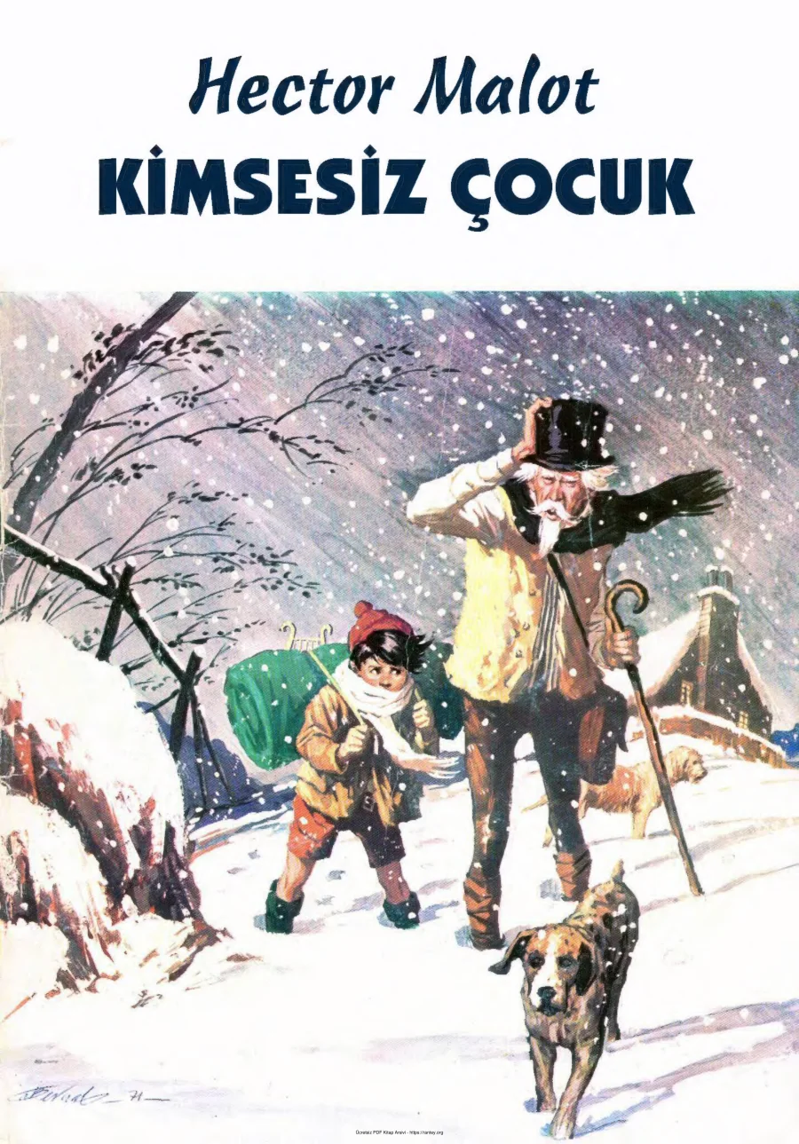 Kimsesiz Çocuk kapak görseli