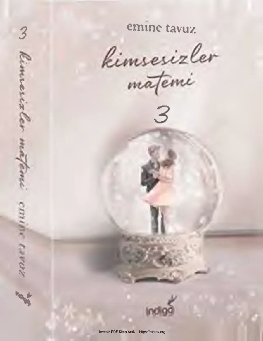 Kimsesizler Matemi 3 Emine Tavuzm kapak görseli