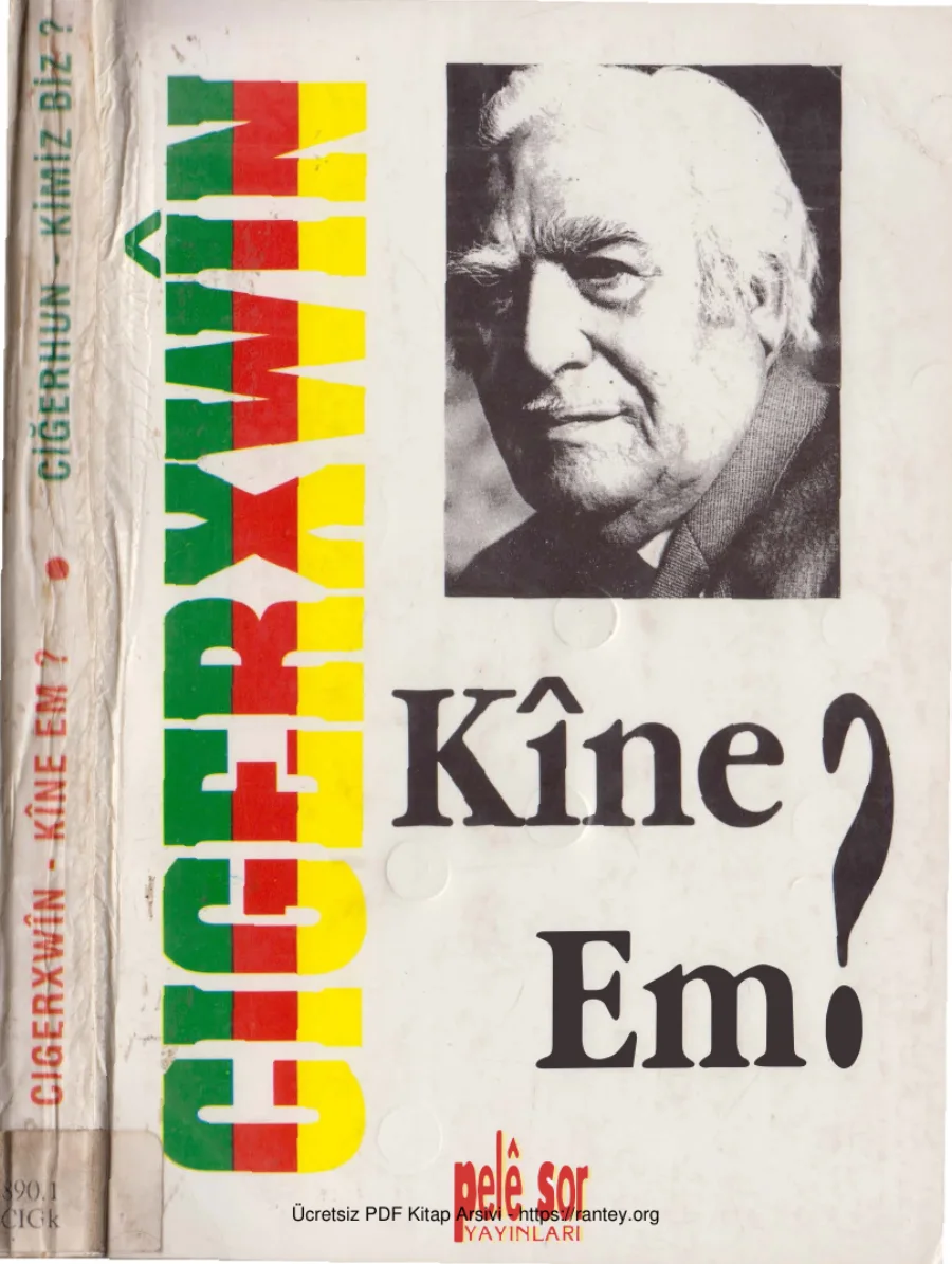 Kine Em Kimiz Biz Kürtçe Türkçe kapak görseli