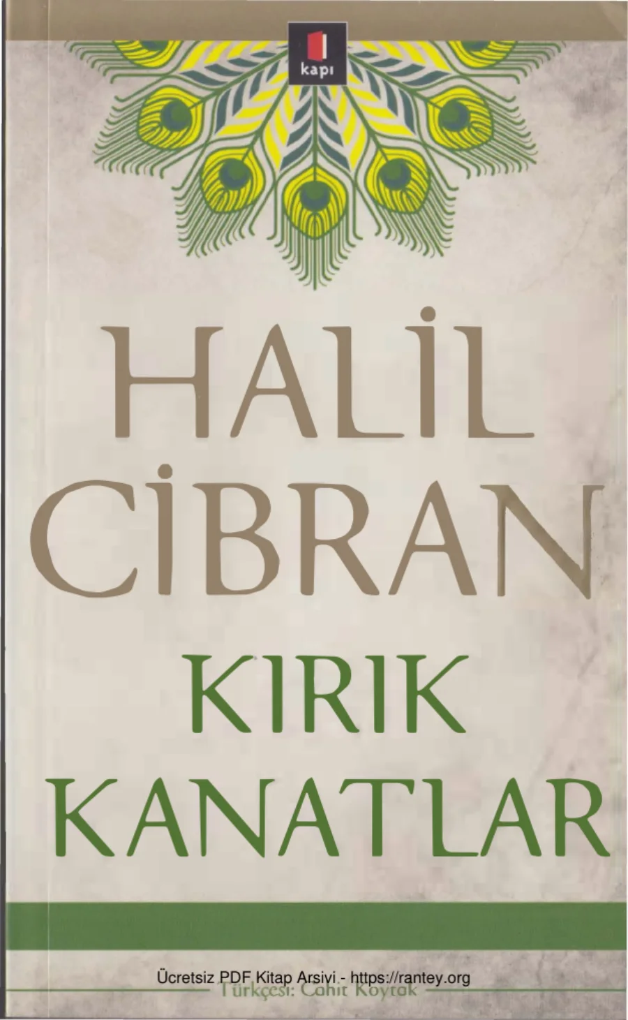 Kırık Kanatlar kapak görseli