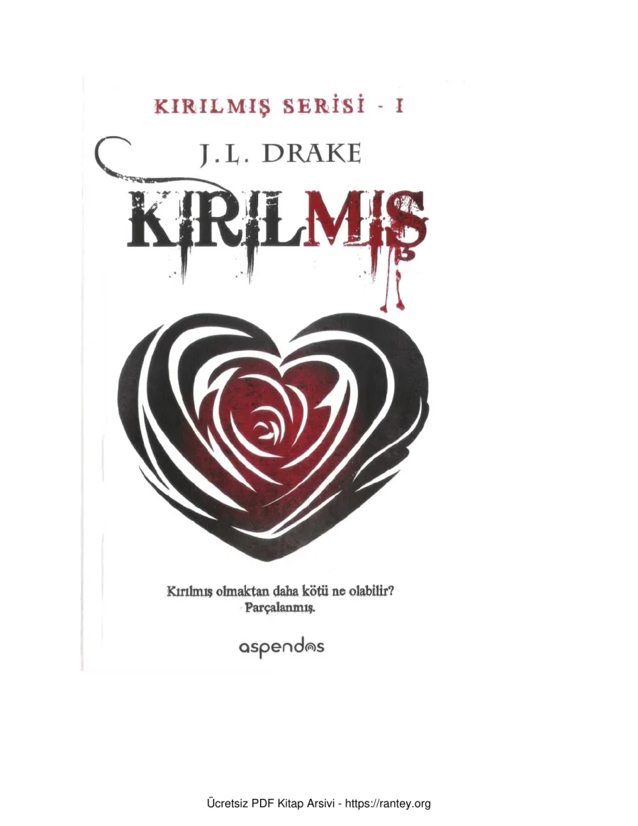Kırılmış Broken Trilogy 1 kapak görseli