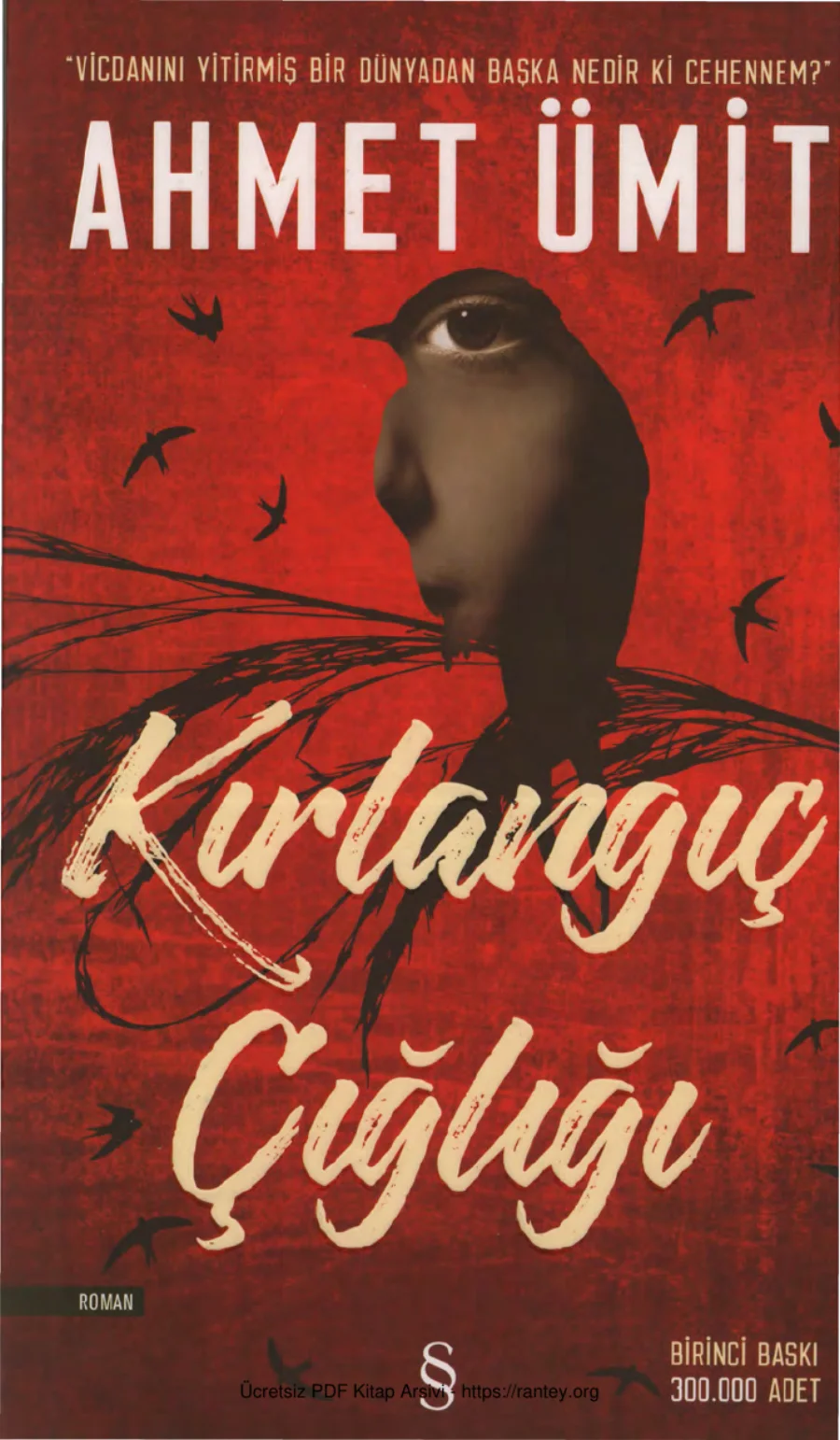 Kırlangıç Çığlığı kapak görseli