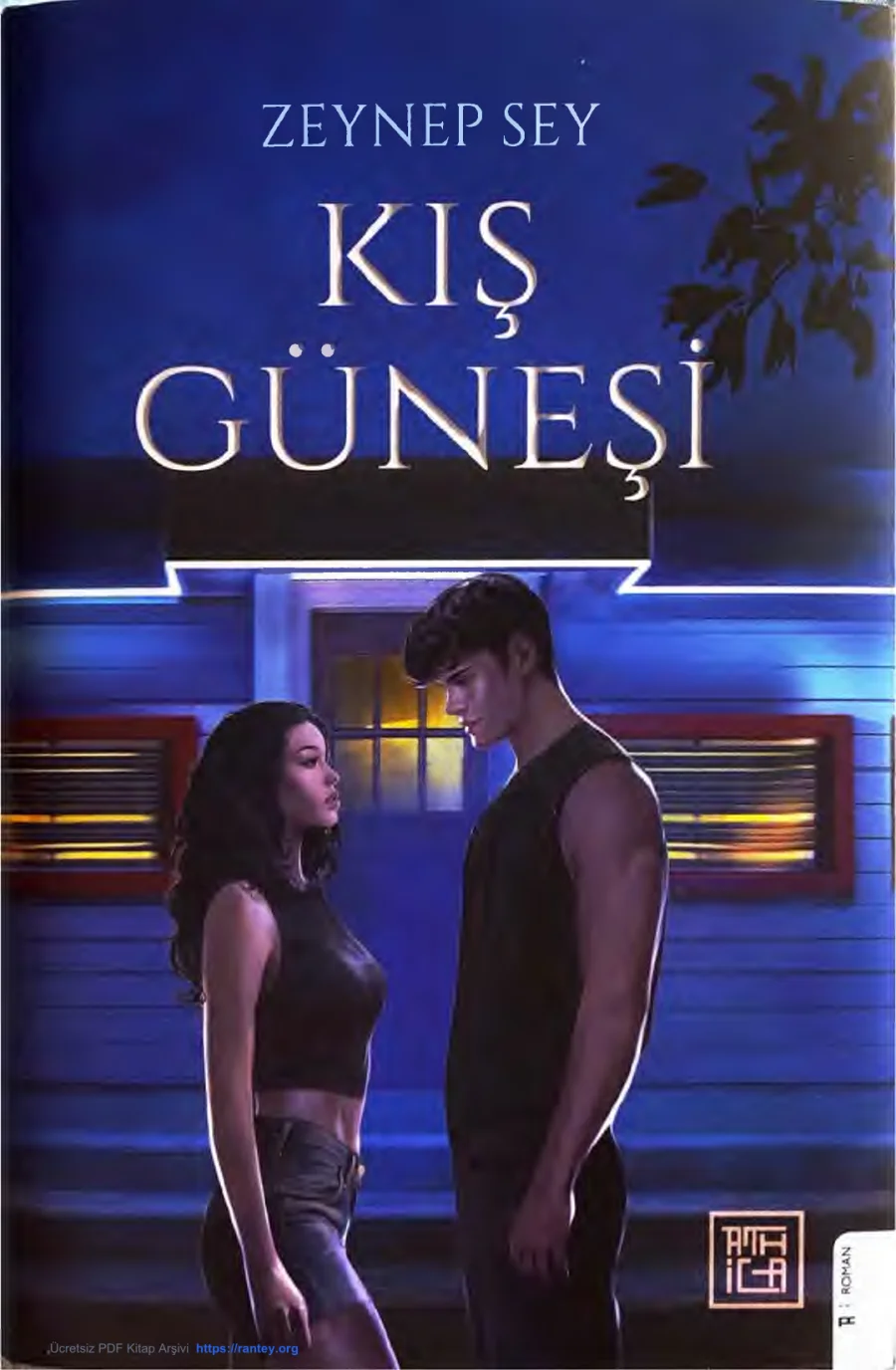 Kış Güneşi kapak görseli