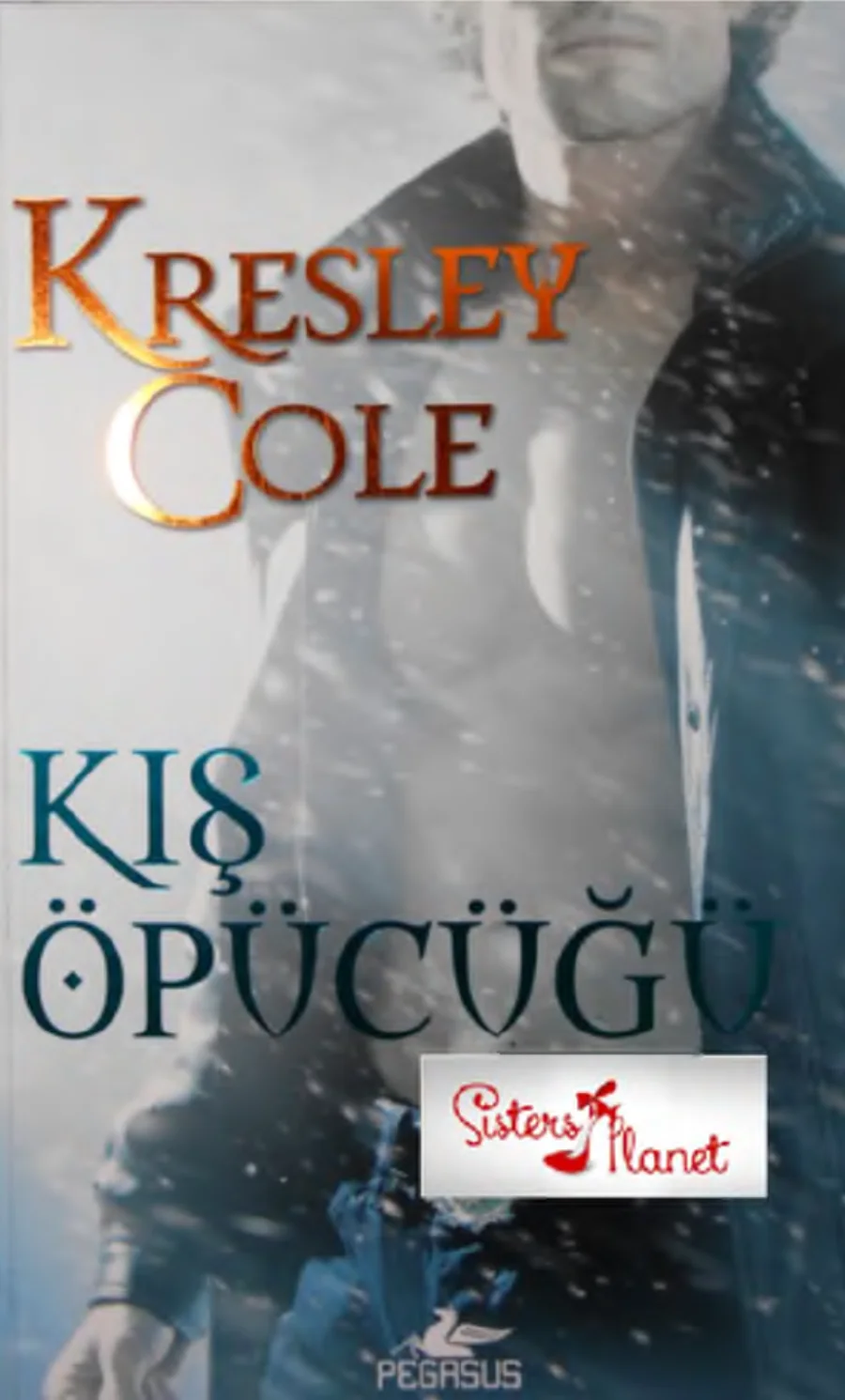 Kış Öpücüğü kapak görseli