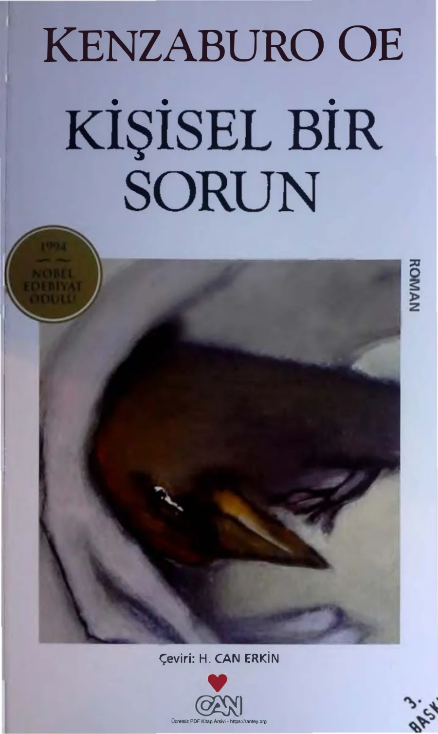 Kişisel Bir Sorun kapak görseli
