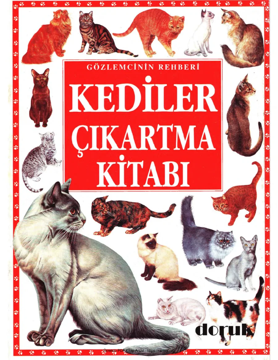 Kİtabı kapak görseli