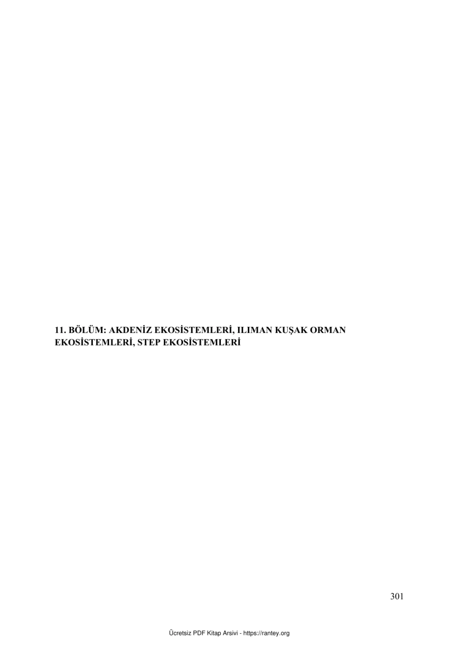 kitap 11 ve 13 bolumler kapak görseli