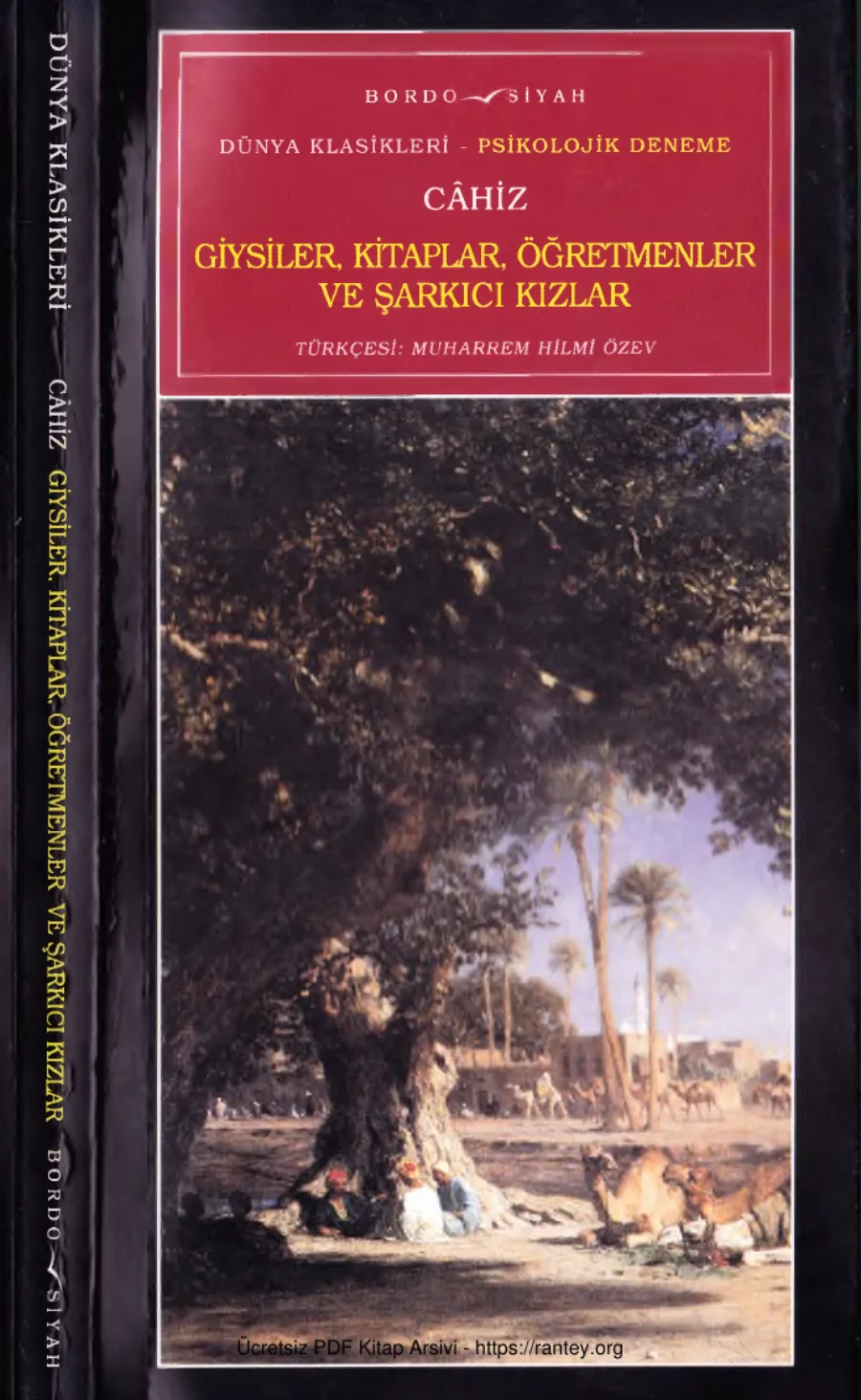 Kitaplar Öğretmenler ve Şarkıcı Kızlar Bordo Siyah Yayınları kapak görseli