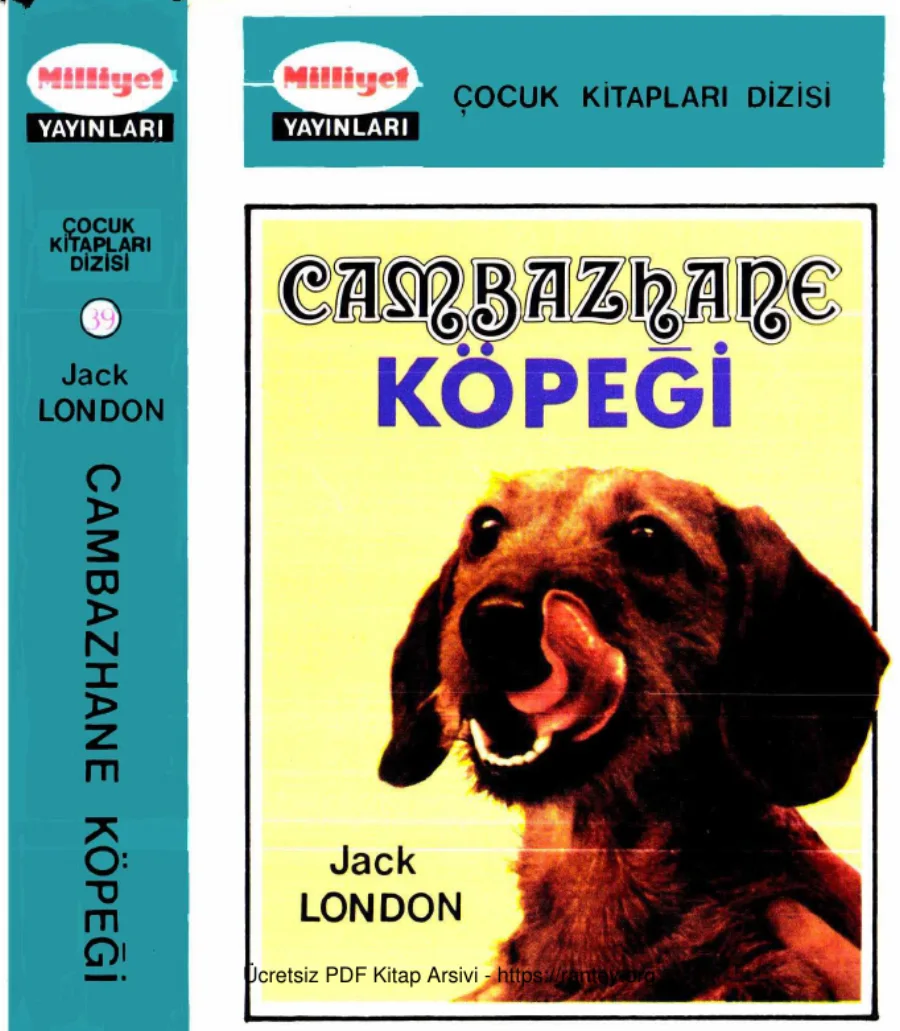 Kitapları 039 Cambazhane Köpeği Jack London Alternatif kapak görseli