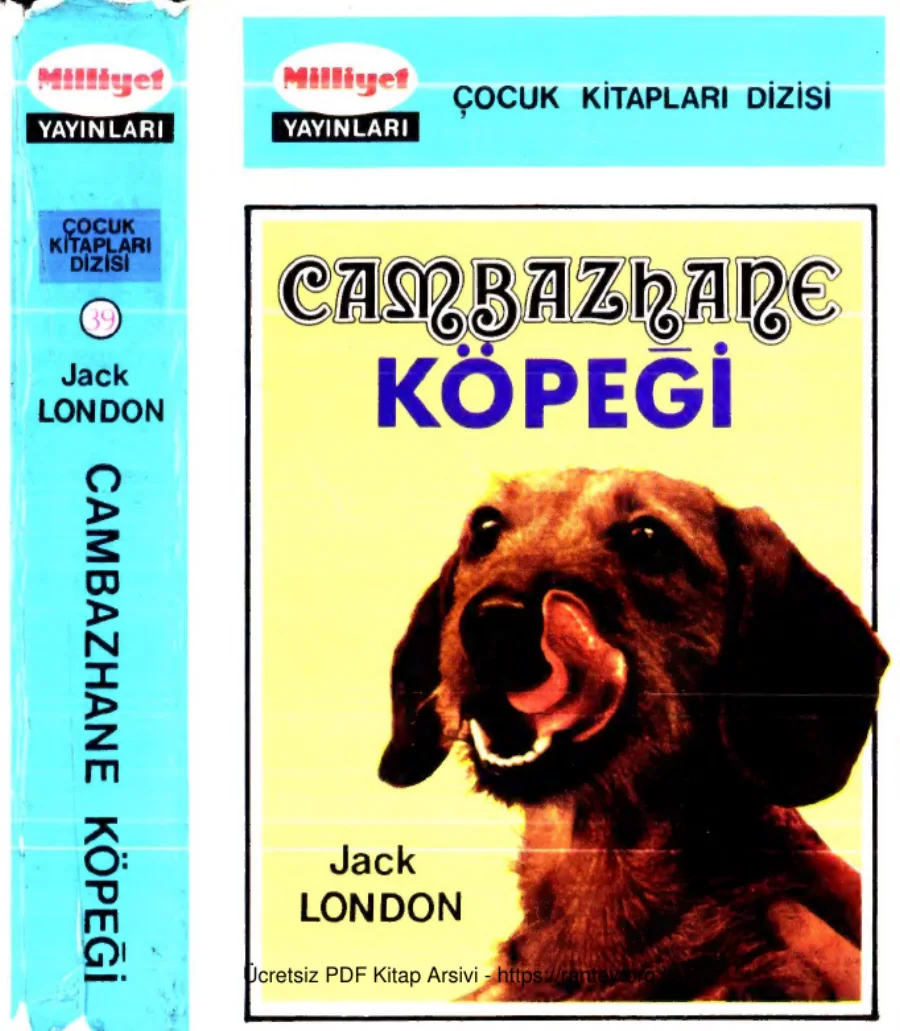 Kitapları 039 Cambazhane Köpeği Jack London kapak görseli