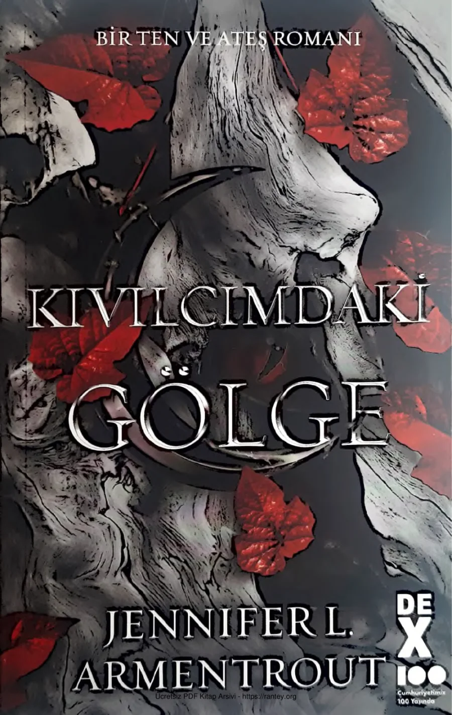 Kıvılcımdaki Gölge kapak görseli