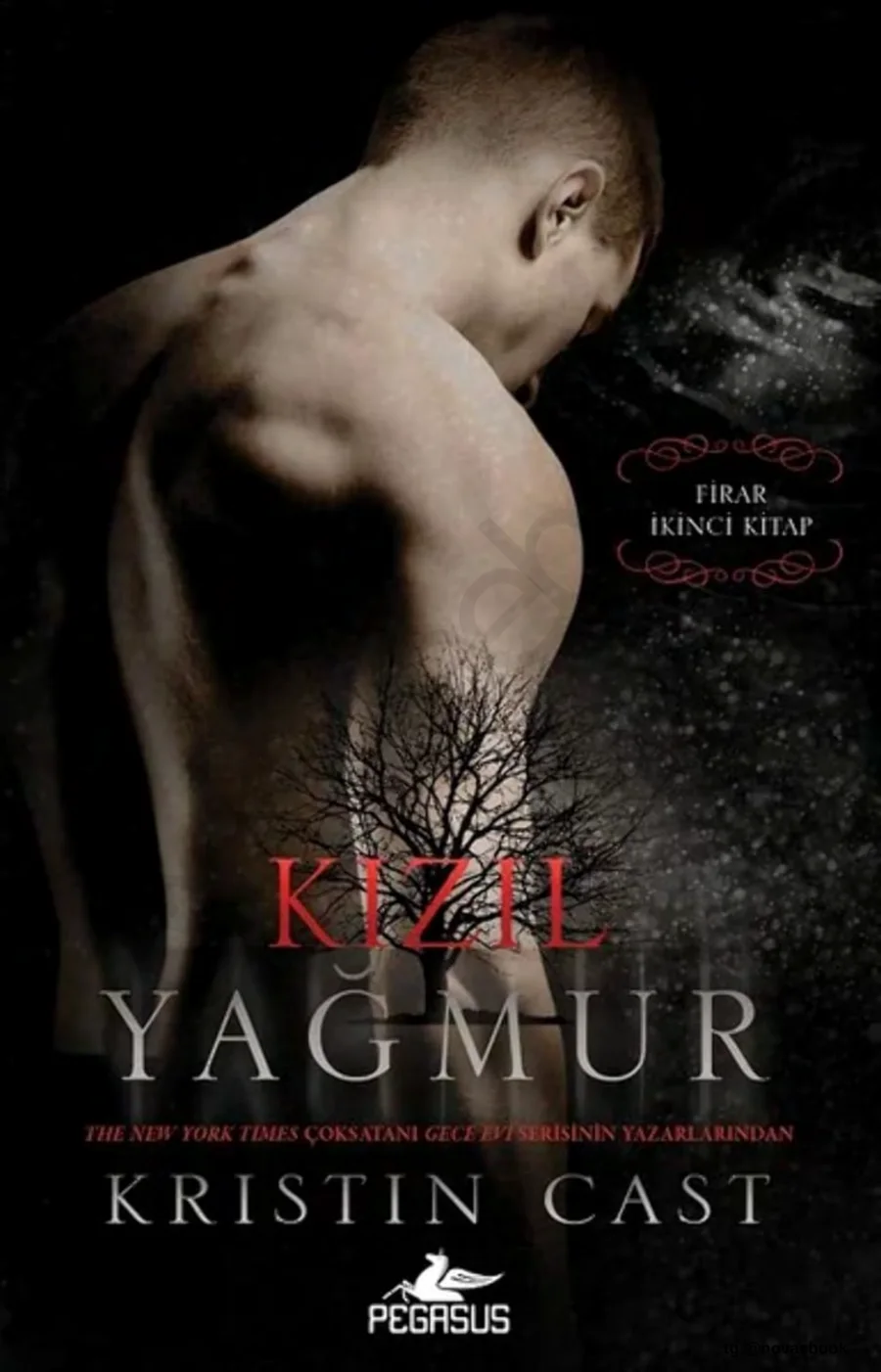 Kızıl Yağmur kapak görseli