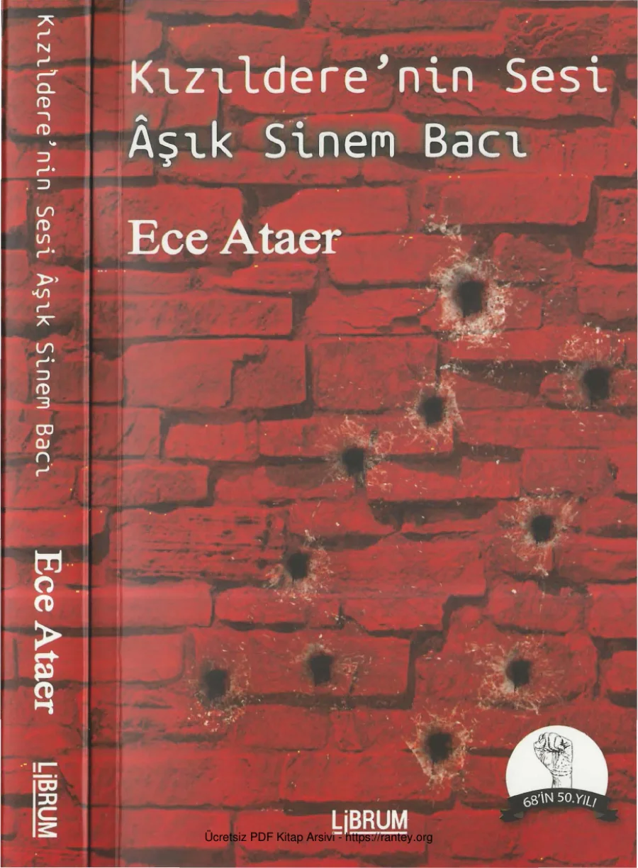 Kızılderenin Sesi Aşık Sinem Bacı kapak görseli