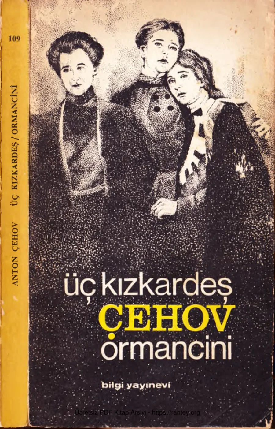 Kızkardeş Orman Cini Bilgi Yayınevi kapak görseli