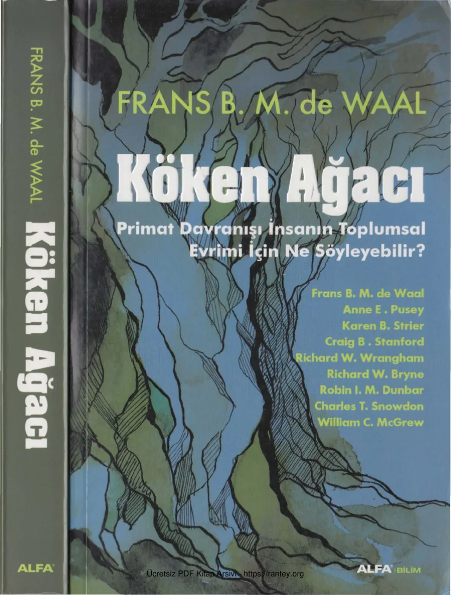 Köken Ağacı kapak görseli