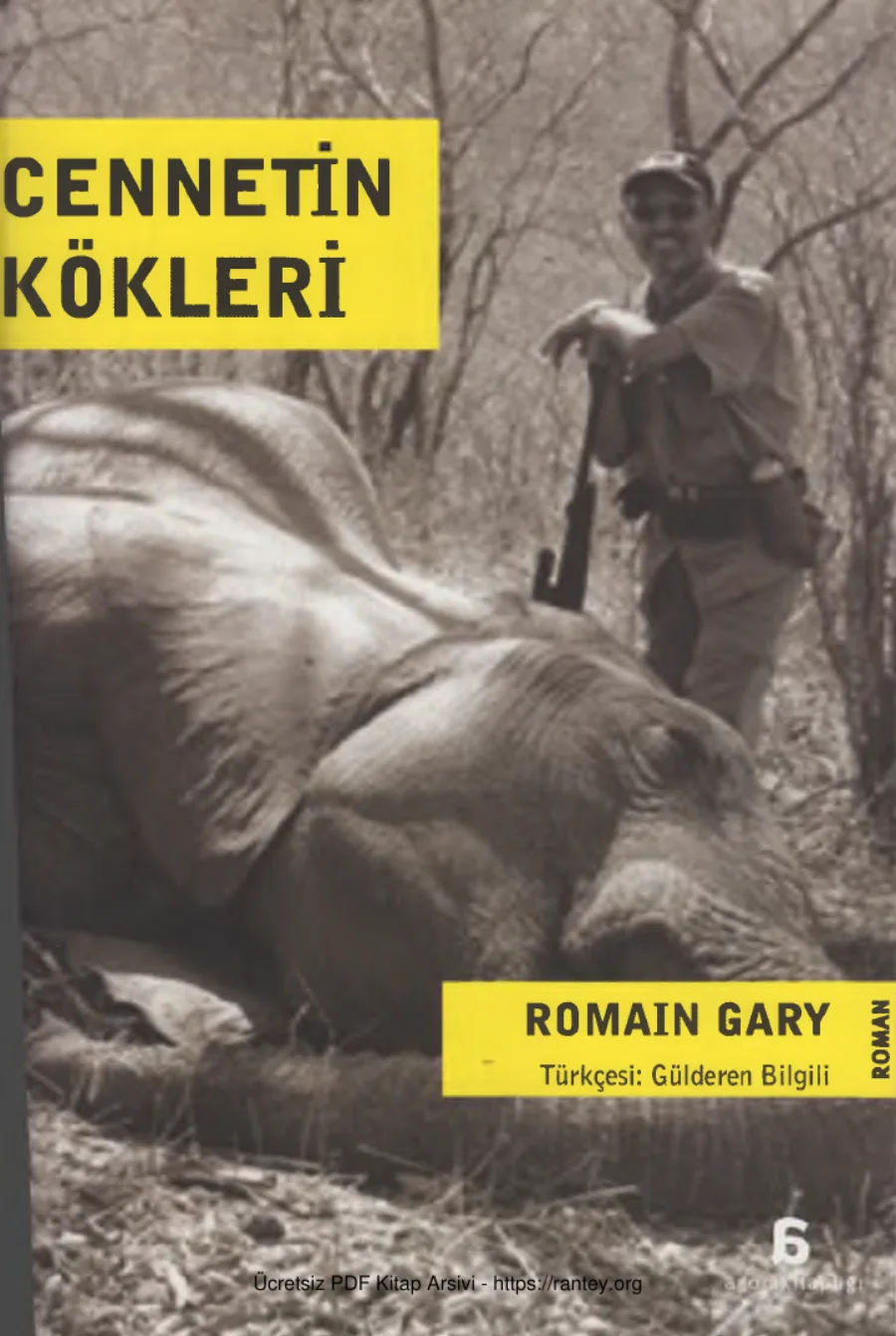 Kökleri kapak görseli
