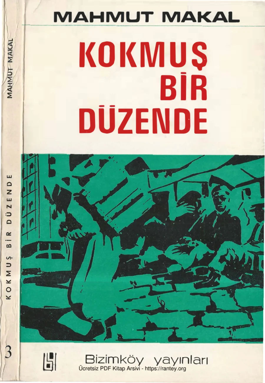 Kokmuş Bir Düzende kapak görseli