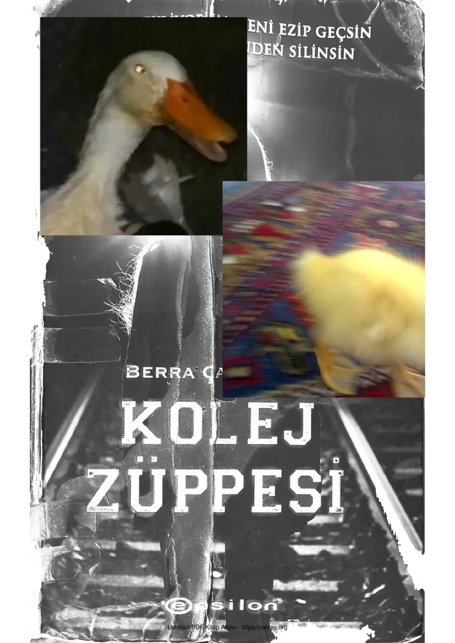 Kolej Züppesi kapak görseli