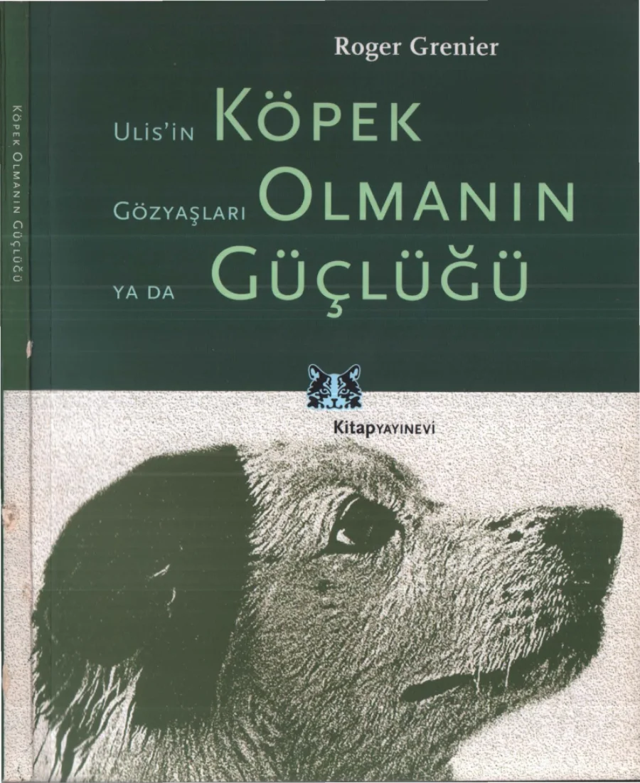 Köpek Olmanın Güçlüğü kapak görseli
