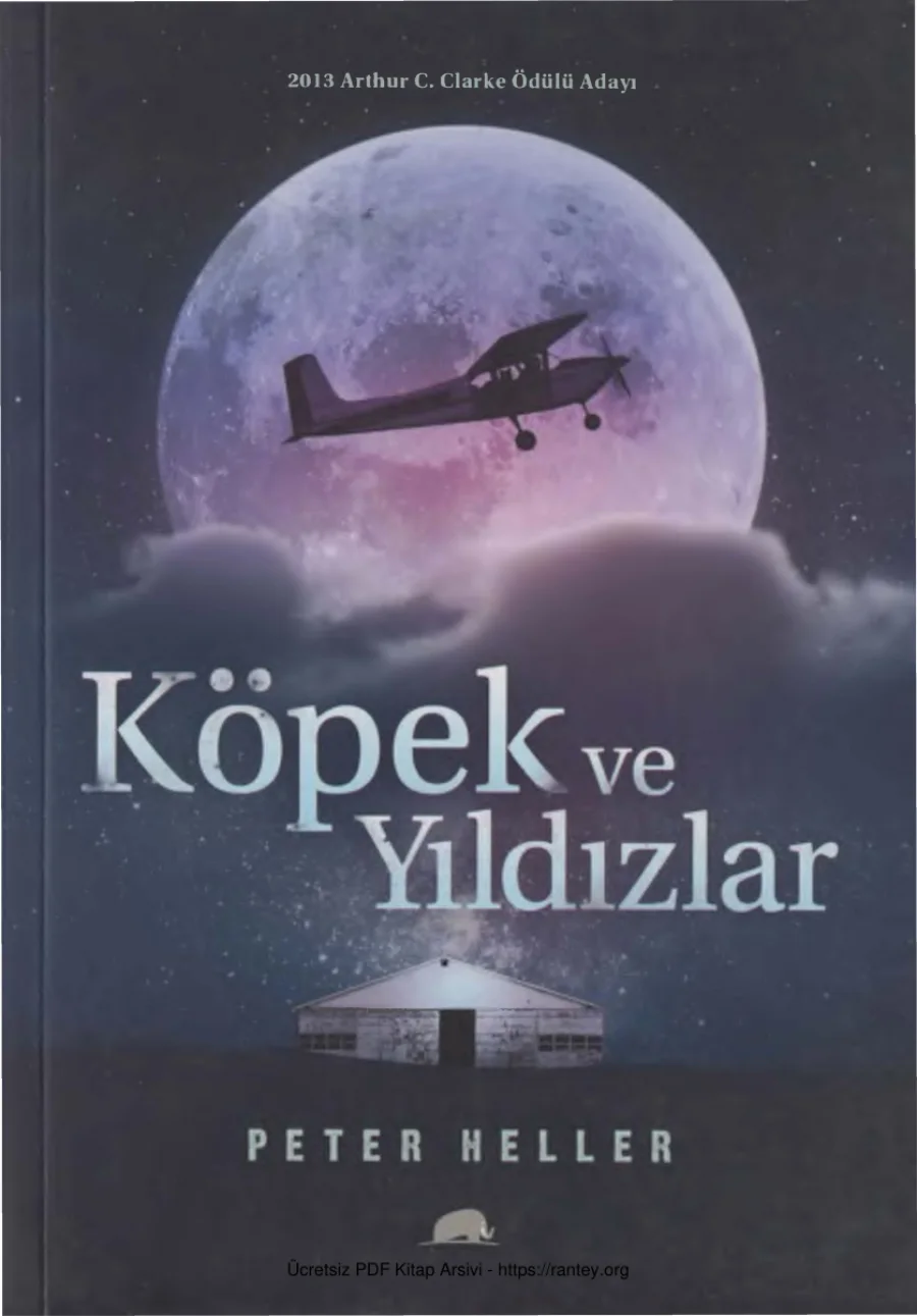 Köpek ve Yıldızlar Kollektif Yayınları kapak görseli