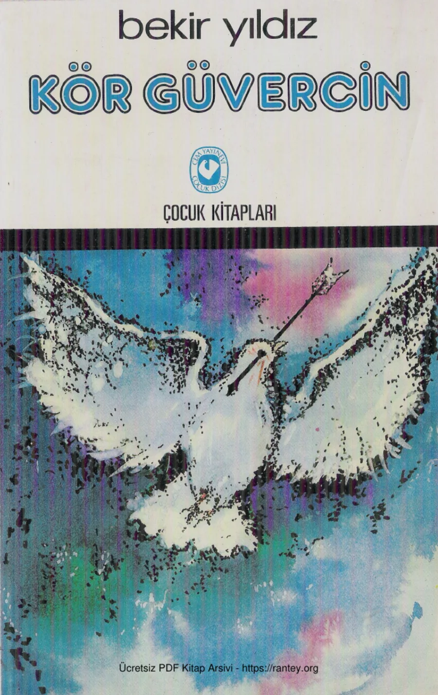 Kör Güvercin kapak görseli