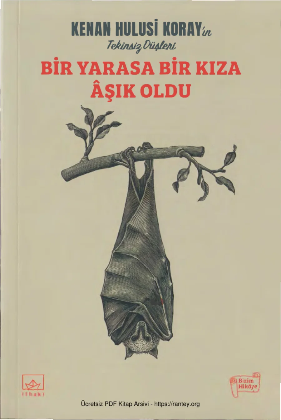 Koray Bir Yarasa Bir Kıza Aşık Oldu kapak görseli