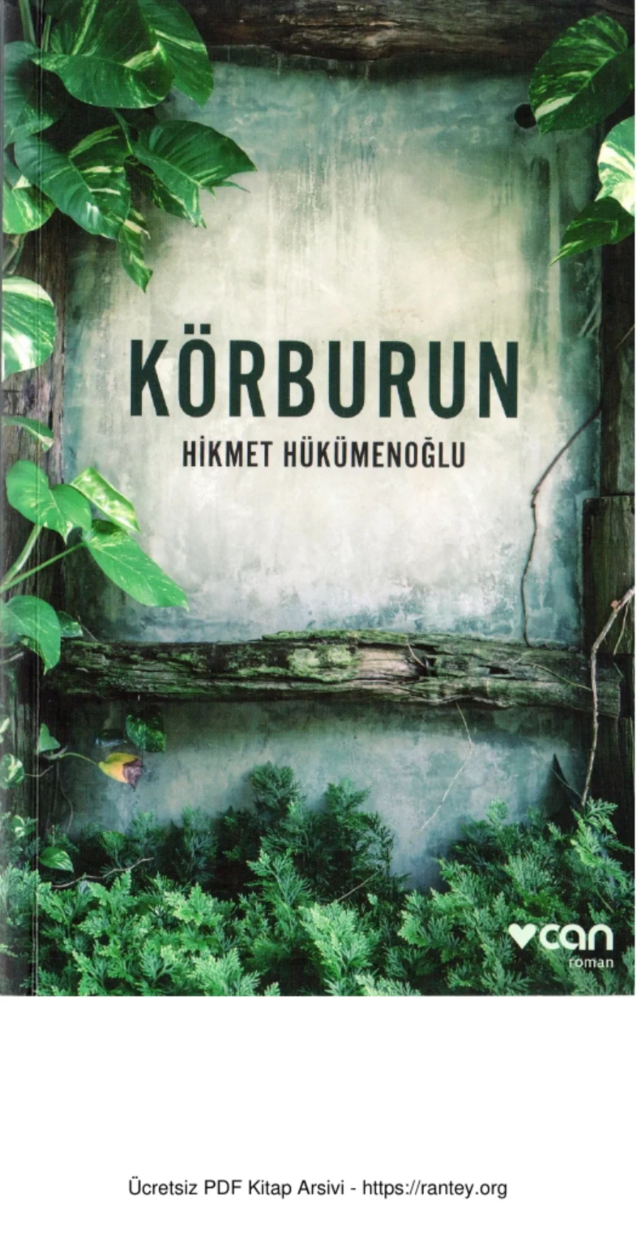 Körburun kapak görseli
