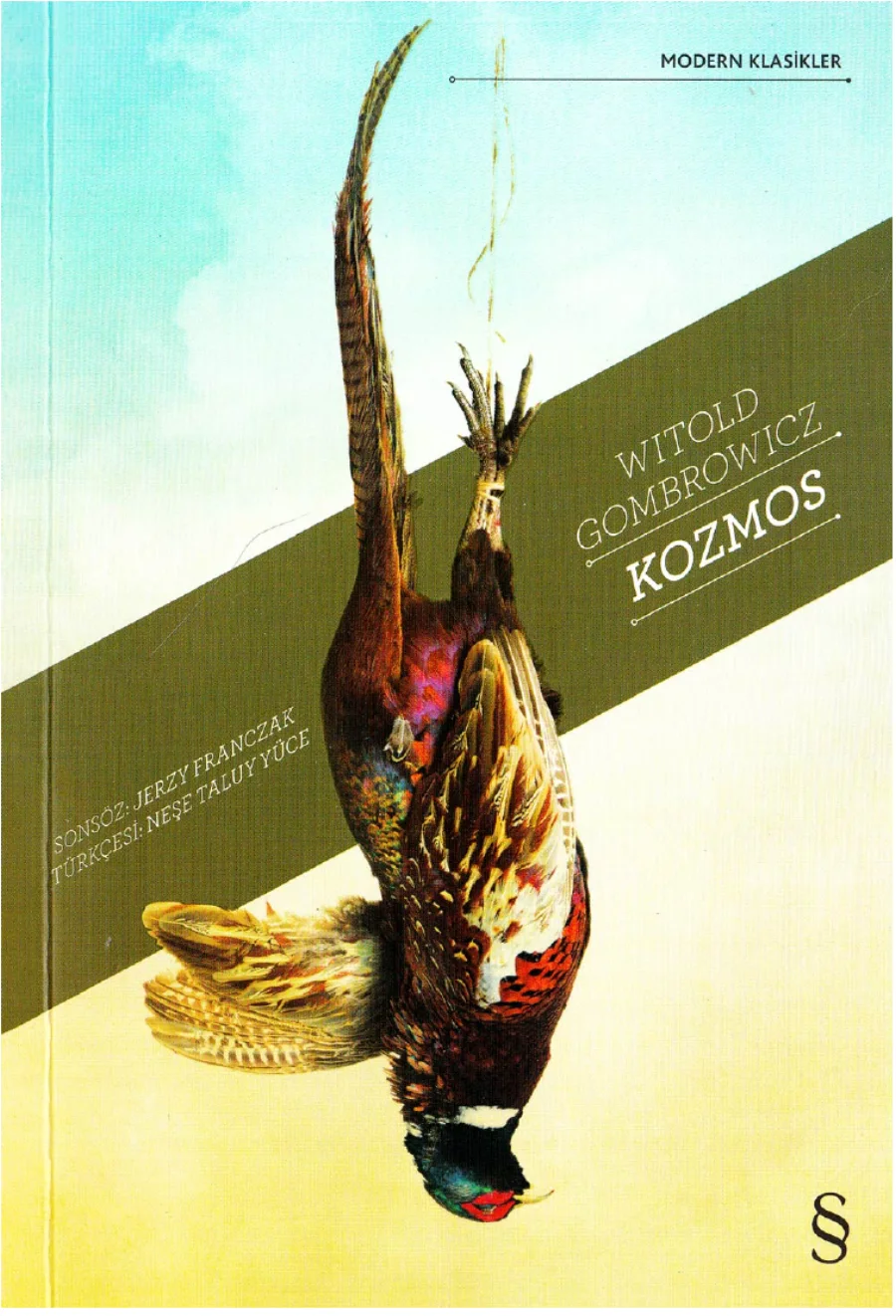 Kozmos kitap kapağı