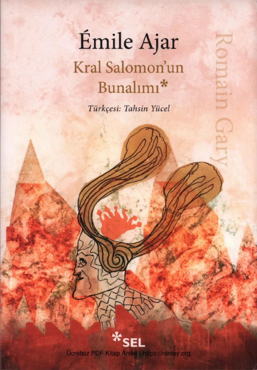 Kral Salomon'un Bunalımı kapak görseli