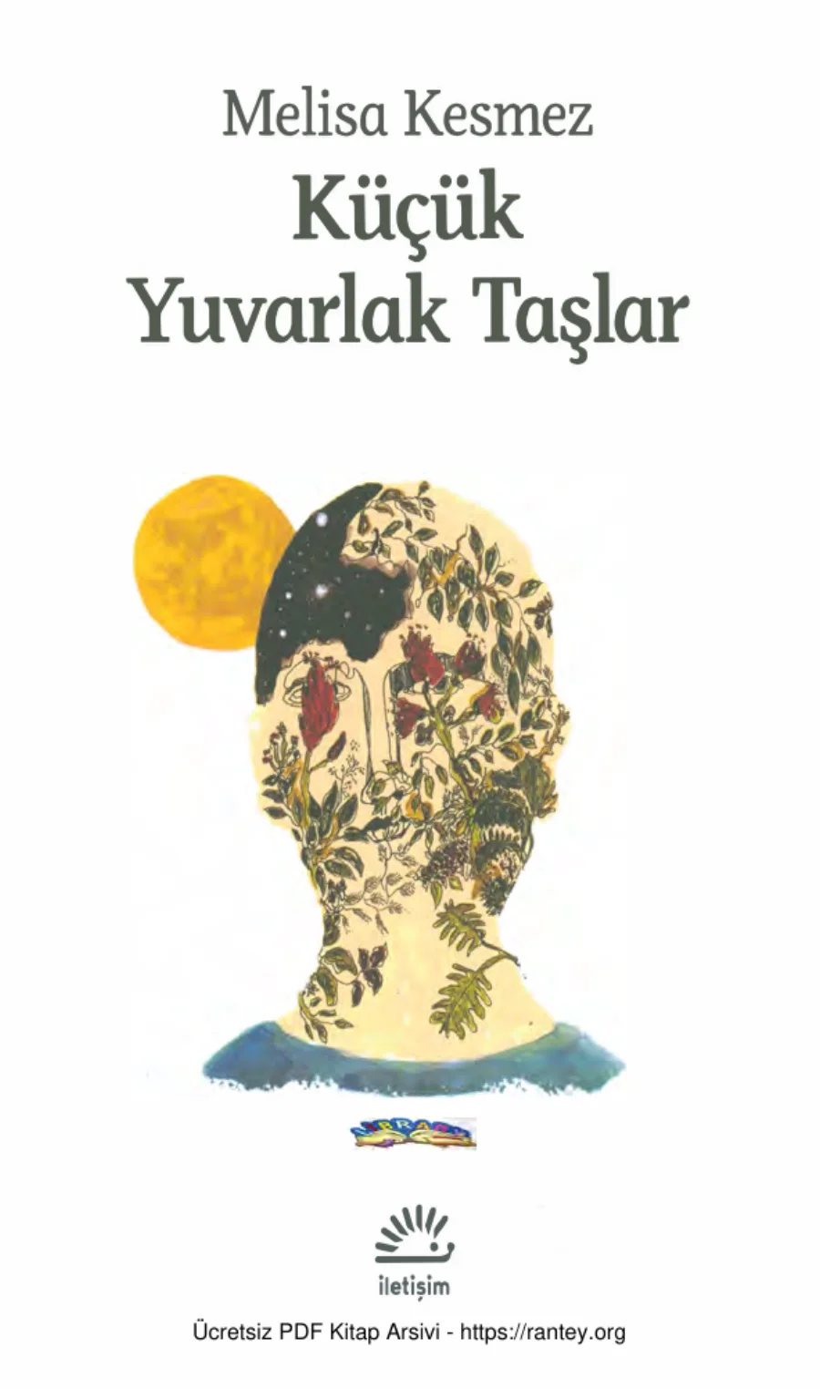 Küçük Yuvarlak Taşlar kapak görseli