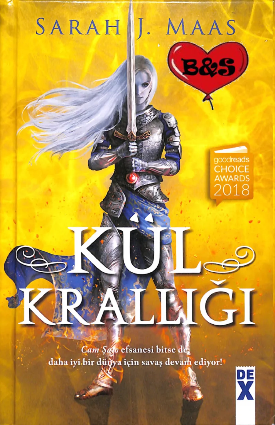 Kül Krallığı kapak görseli
