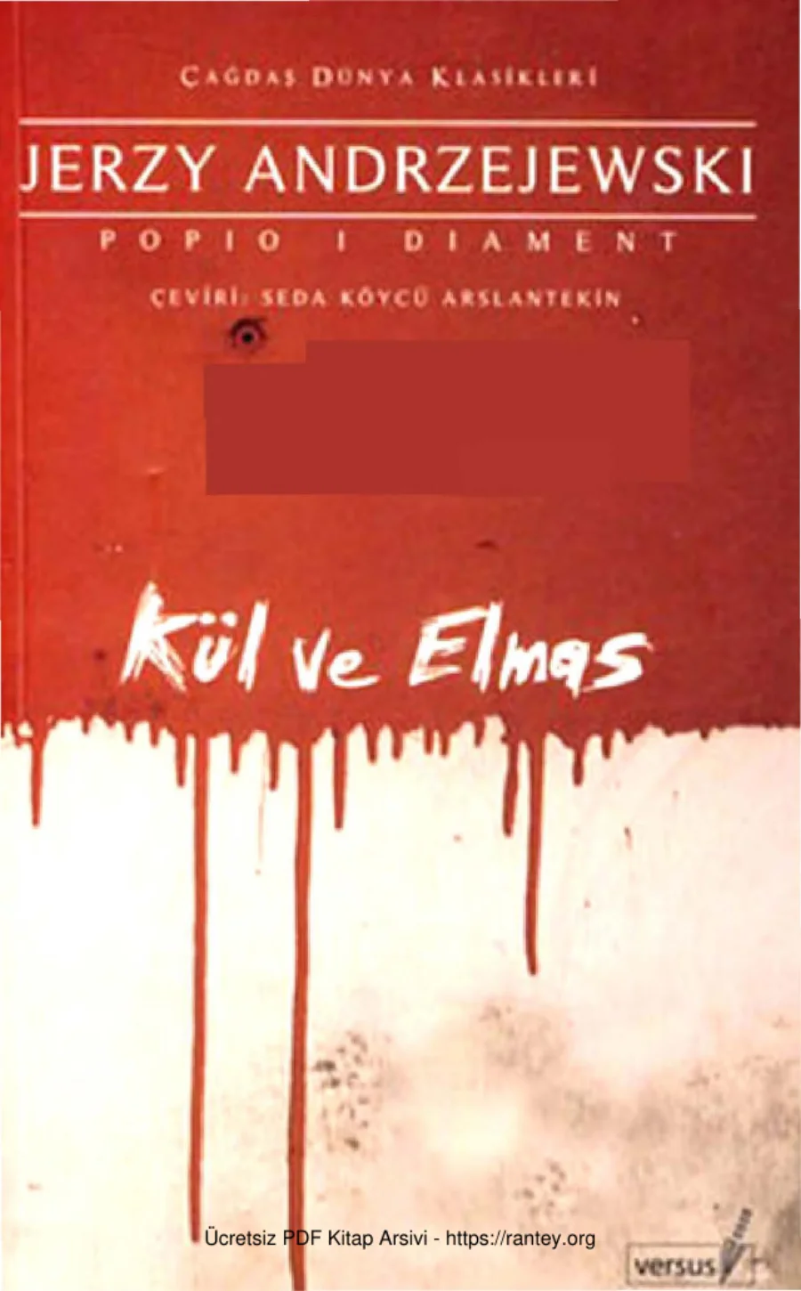 Kül ve Elmas kapak görseli