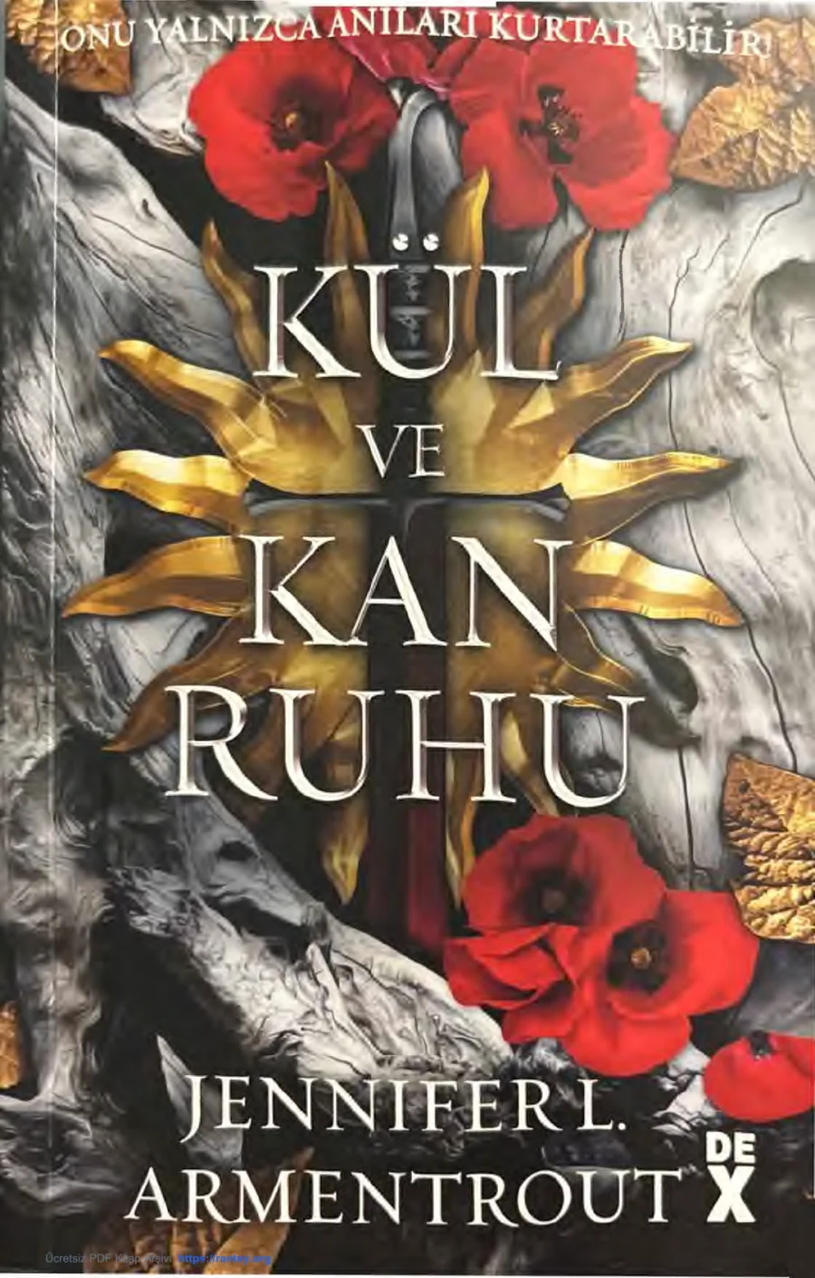 Kül ve Kan Ruhu kapak görseli