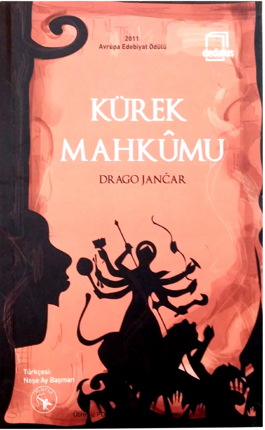 Kürek Mahkumu kapak görseli