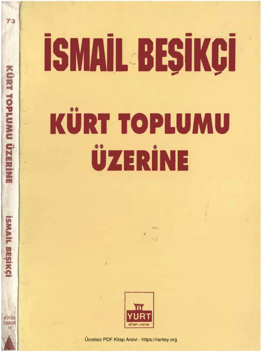 Kürt Toplumu Üzerine kapak görseli