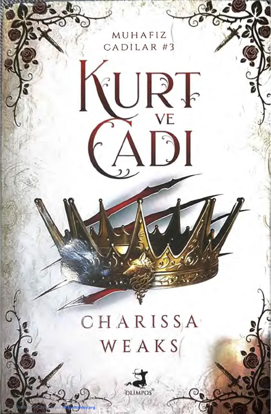 Kurt ve Cadı kapak görseli