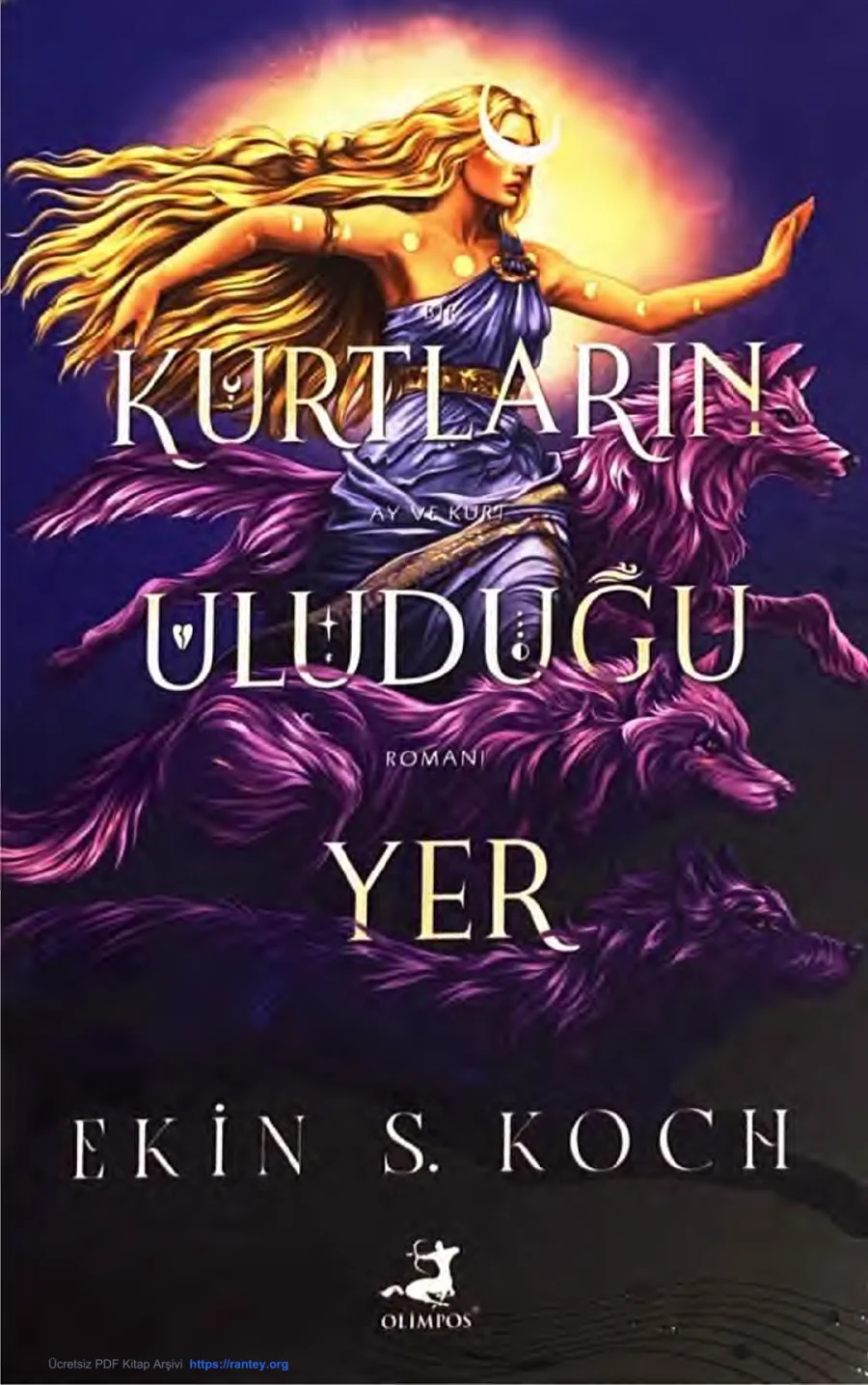 Kurtların Uluduğu Yer kapak görseli