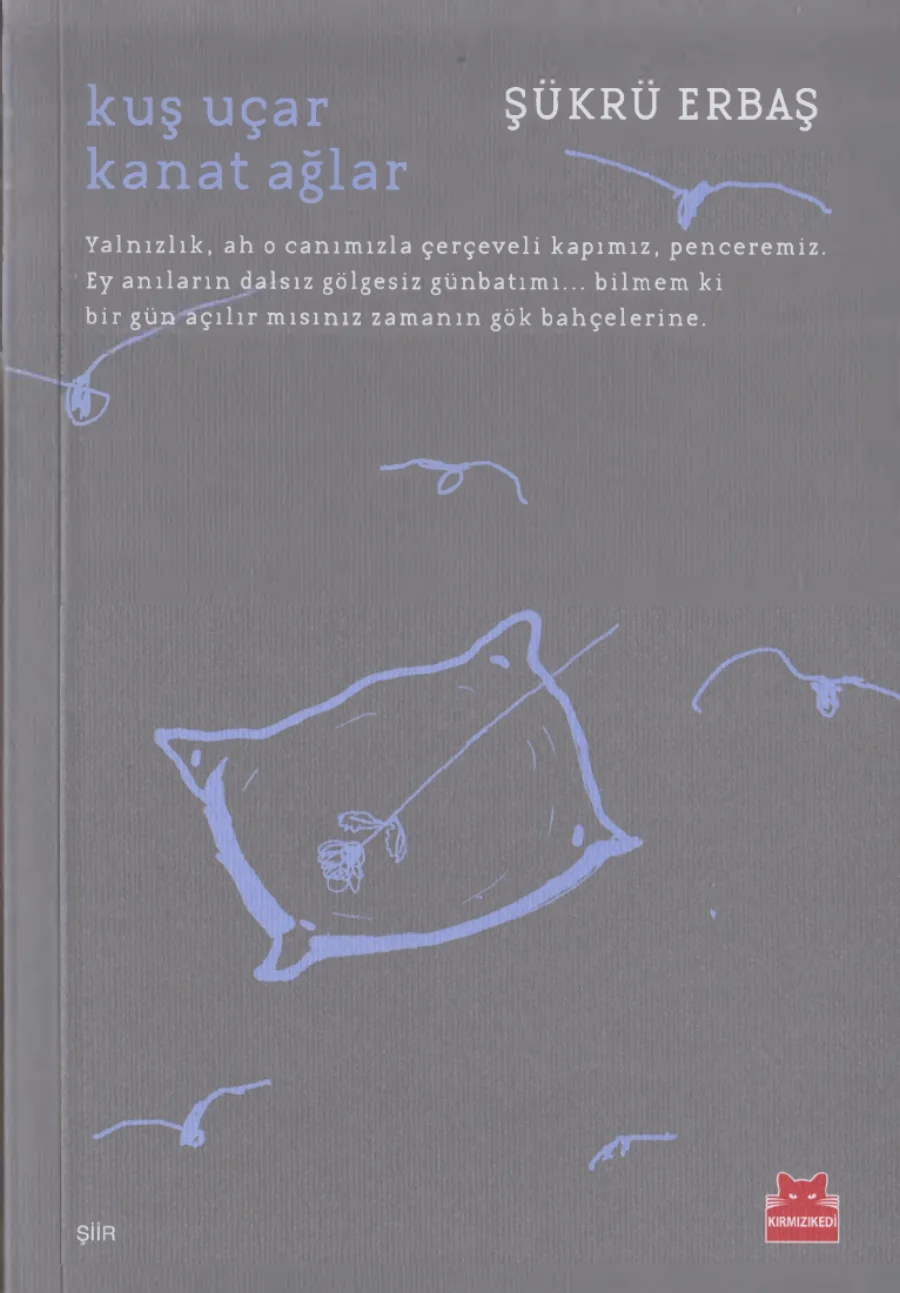 Kuş Uçar Kanat Ağlar PDF kapak görseli